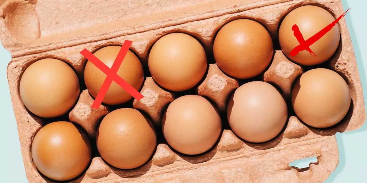 façons simples de savoir si un œuf est bon ou mauvais Idée Recette