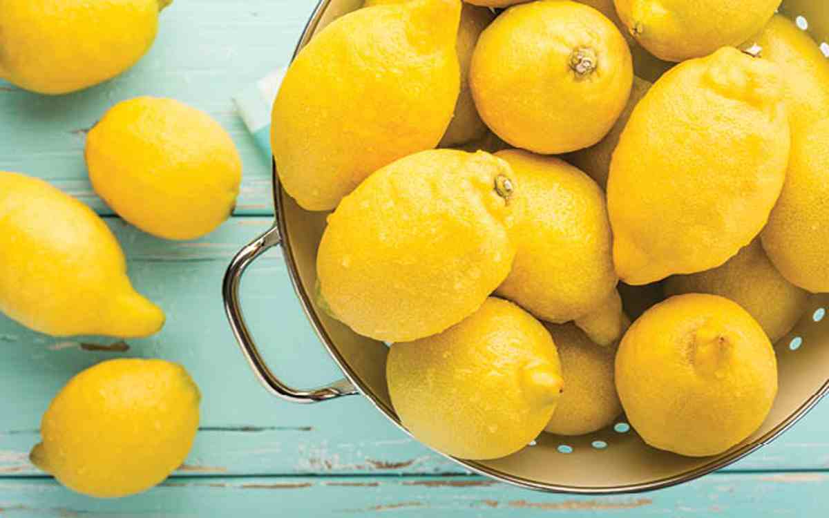 conserver ses citrons frais