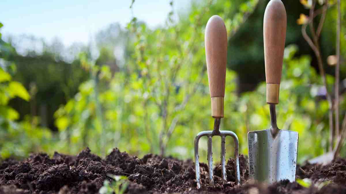 comment-jardiner-avec-la-lune-en-decembre-2023