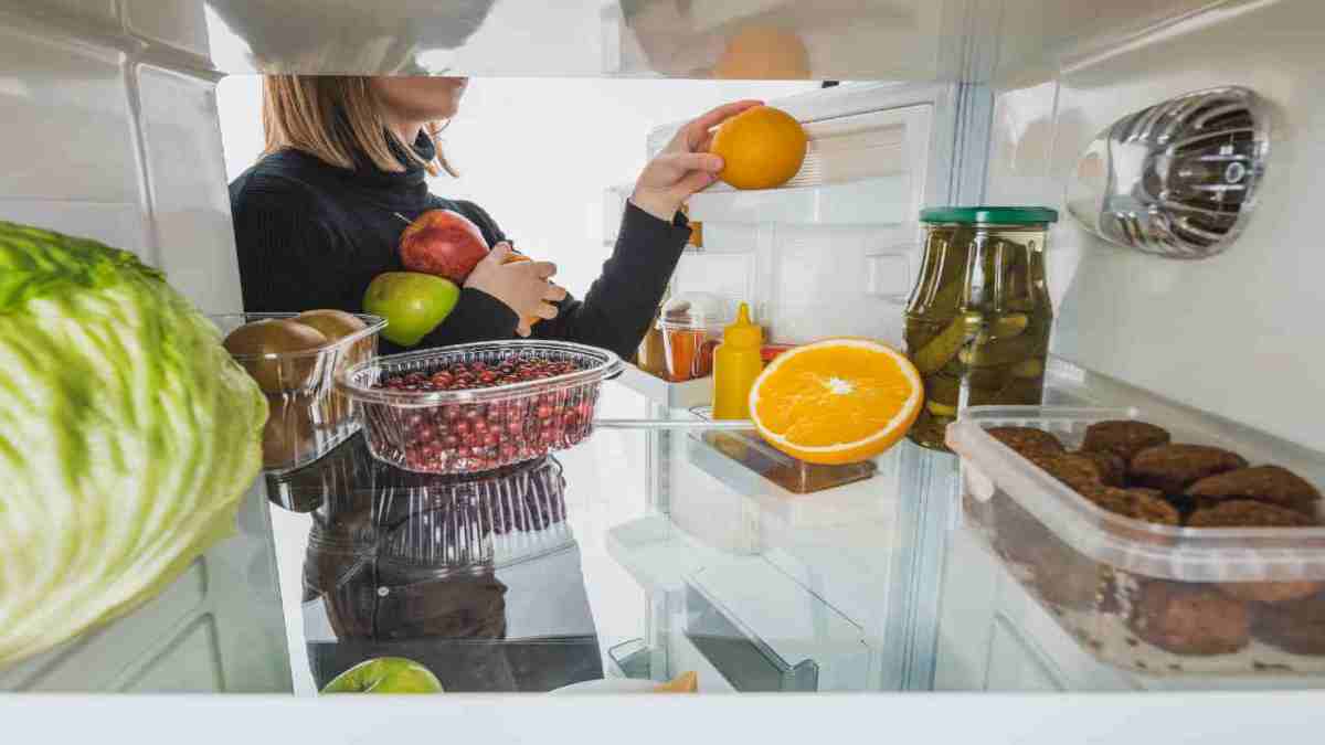 refrigerateur-combien-de-temps-conserver-les-aliments-avant-quils-ne-se-gatent-i-si-vous-faites-une-erreur-vous-etes-empoisonne