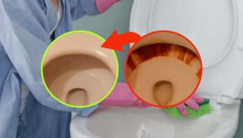 taches-de-rouille-sur-les-toilettes-comment-sen-debarrasser-rapidement-et-definitivement