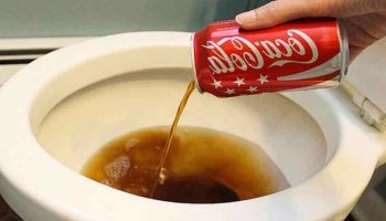 versez-une-goutte-de-coca-cola-dans-les-toilettes-le-resultat-pourrait-vous-surprendre-2