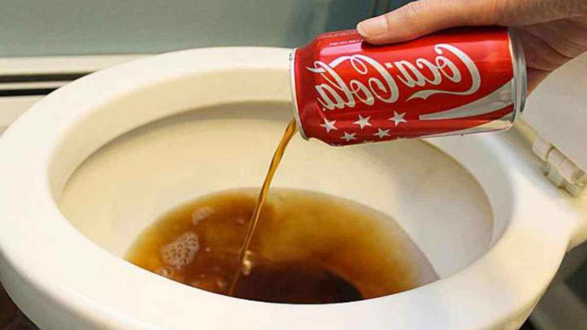 versez-une-goutte-de-coca-cola-dans-les-toilettes-le-resultat-pourrait-vous-surprendre-2