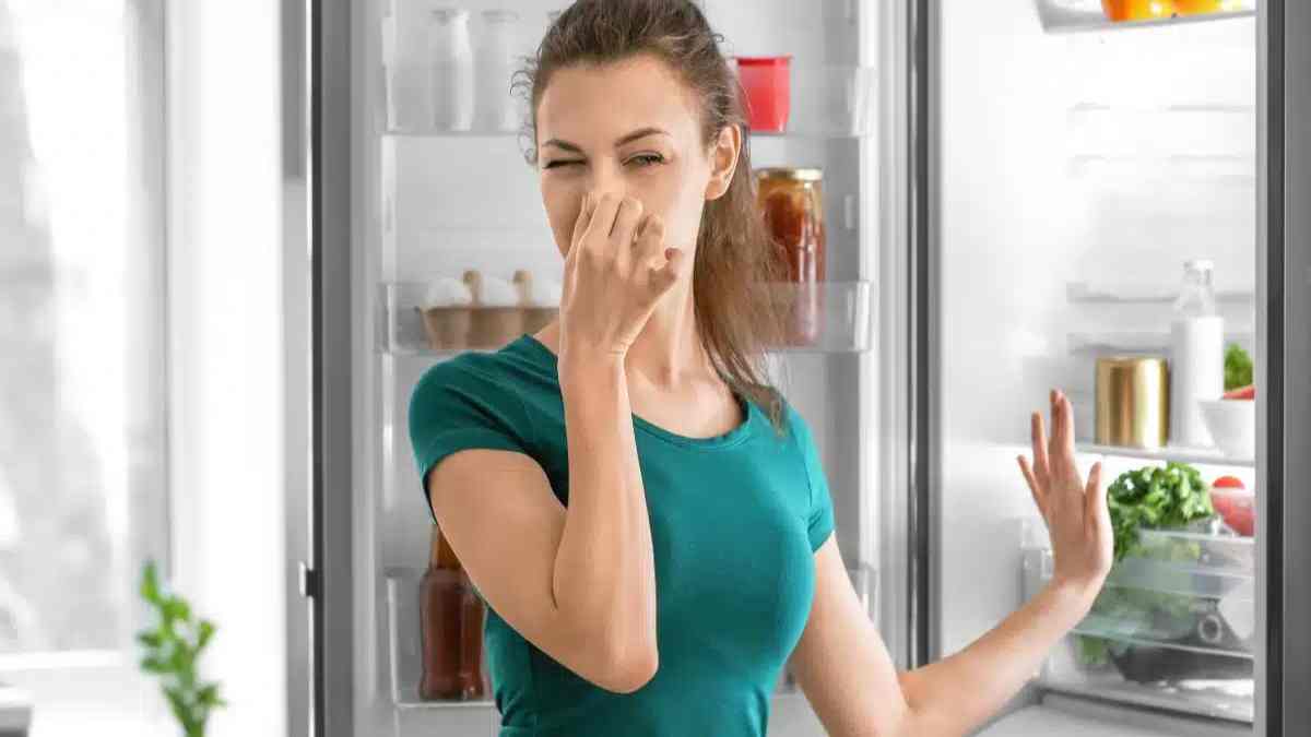comment-eliminer-les-mauvaises-odeurs-du-refrigerateur-avec-du-bicarbonate-de-soude