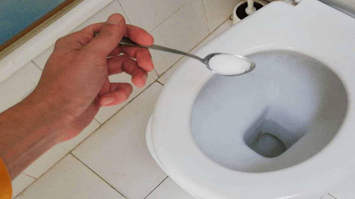 du-sel-dans-les-toilettes-vous-navez-aucune-idee-a-quel-point-cest-utile-comment-le-faire-et-pourquoi