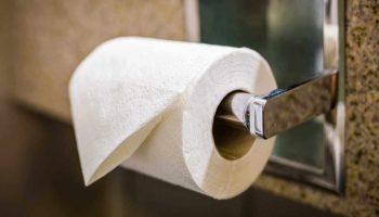 le-papier-toilette-quutilisait-on-avant-son-invention-insoupconne-2