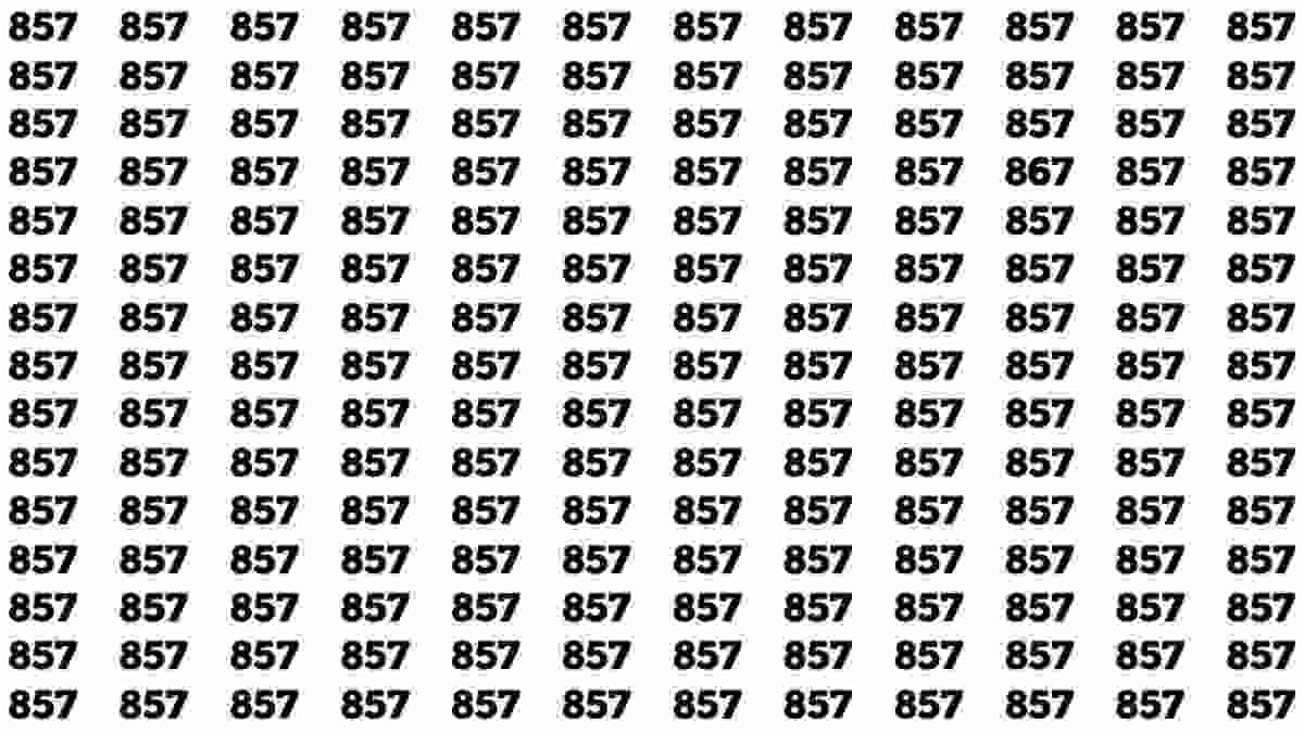 test-dobservation-si-vous-avez-loeil-aiguise-trouvez-le-nombre-867-parmi-857-en-20-secondes