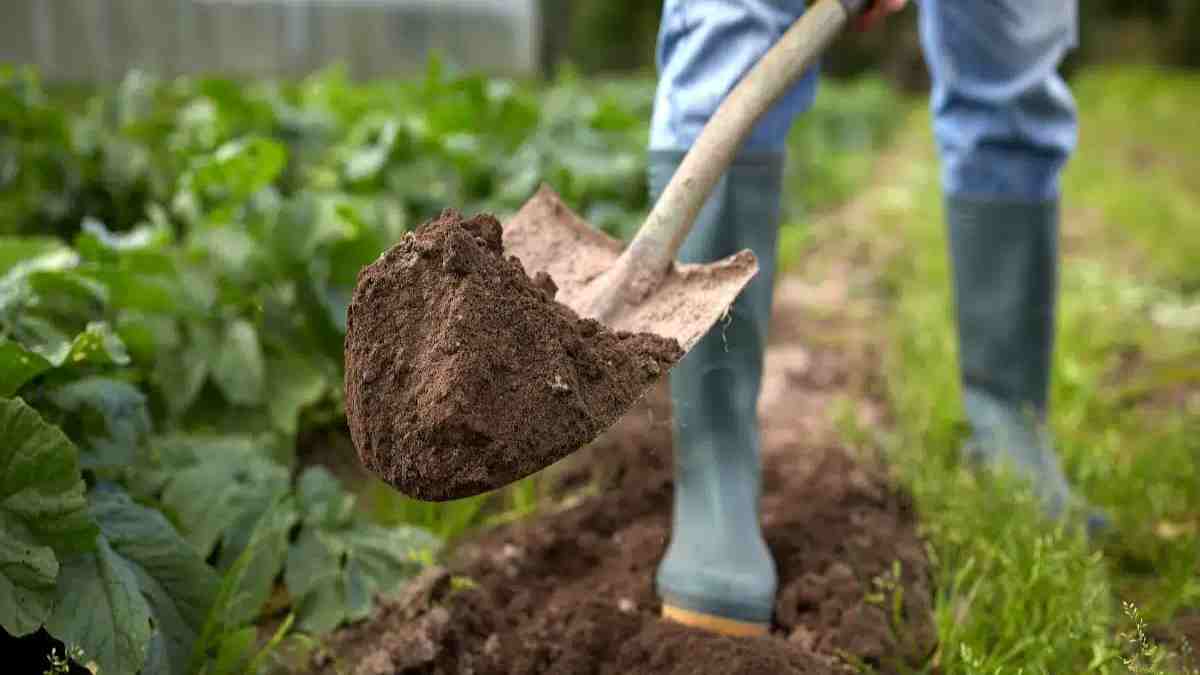 conseils-pour-creuser-le-jardin-en-hiver-limportance-de-creuser-et-les-meilleures-techniques-pour-le-faire