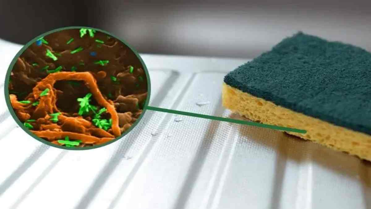 les-eponges-a-vaisselle-veritable-receptacle-a-bacteries-lalternative-la-plus-hygienique-a-utiliser