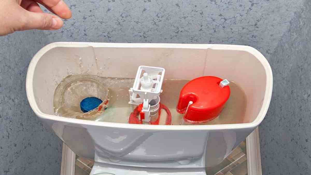 mettre-du-savon-a-vaisselle-sur-la-brosse-des-toilettes-cest-lastuce-preferee-des-menageres-experimentees