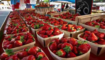 fraises-lastuce-pour-les-conserver-jusqua-2-semaines-ajoutez-simplement-cet-ingredient