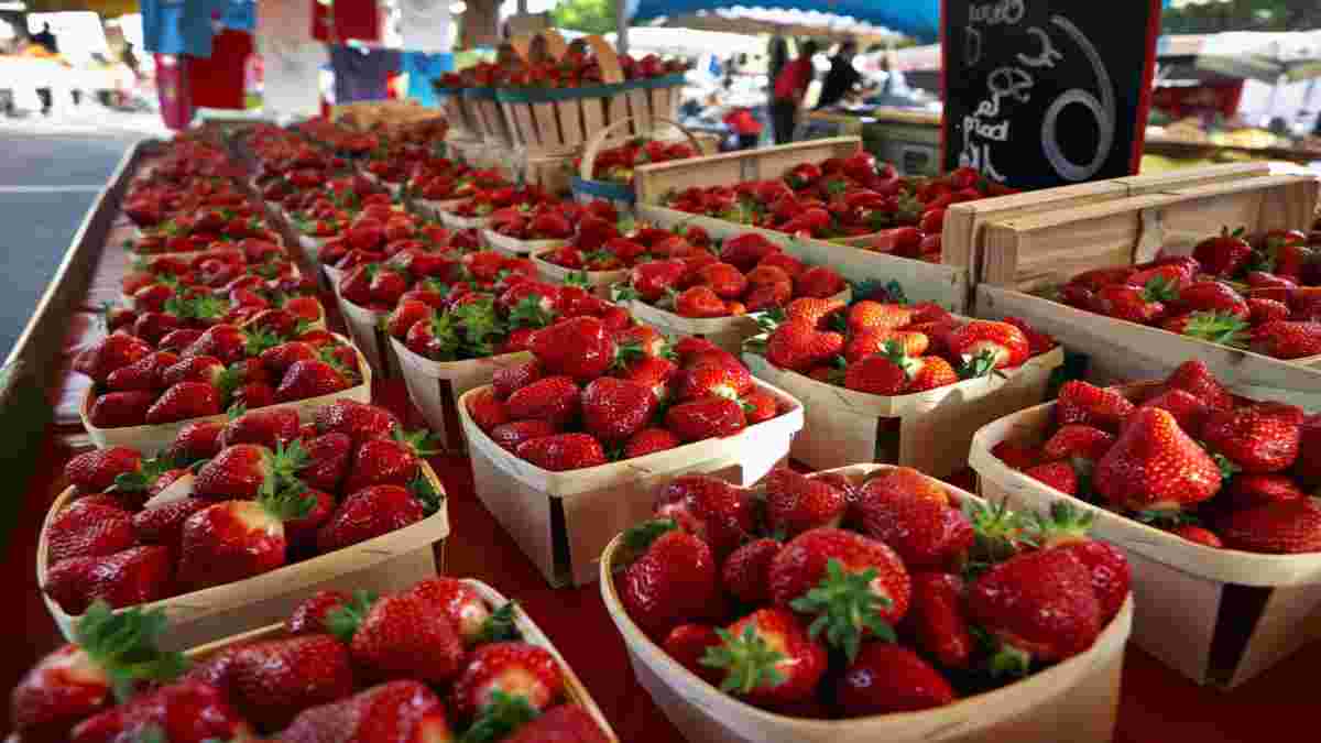 fraises-lastuce-pour-les-conserver-jusqua-2-semaines-ajoutez-simplement-cet-ingredient