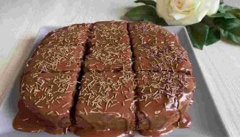 sans-beurre-le-gateau-au-chocolat-ultra-moelleux-delicieusement-gourmand-et-leger-se-prepare-en-un-clin-doeil