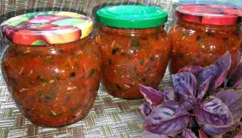 ma-grand-mere-ma-appris-a-faire-des-bocaux-de-tomates-en-seulement-une-heure-jy-ajoute-aussi-plein-dingredients-benefiques
