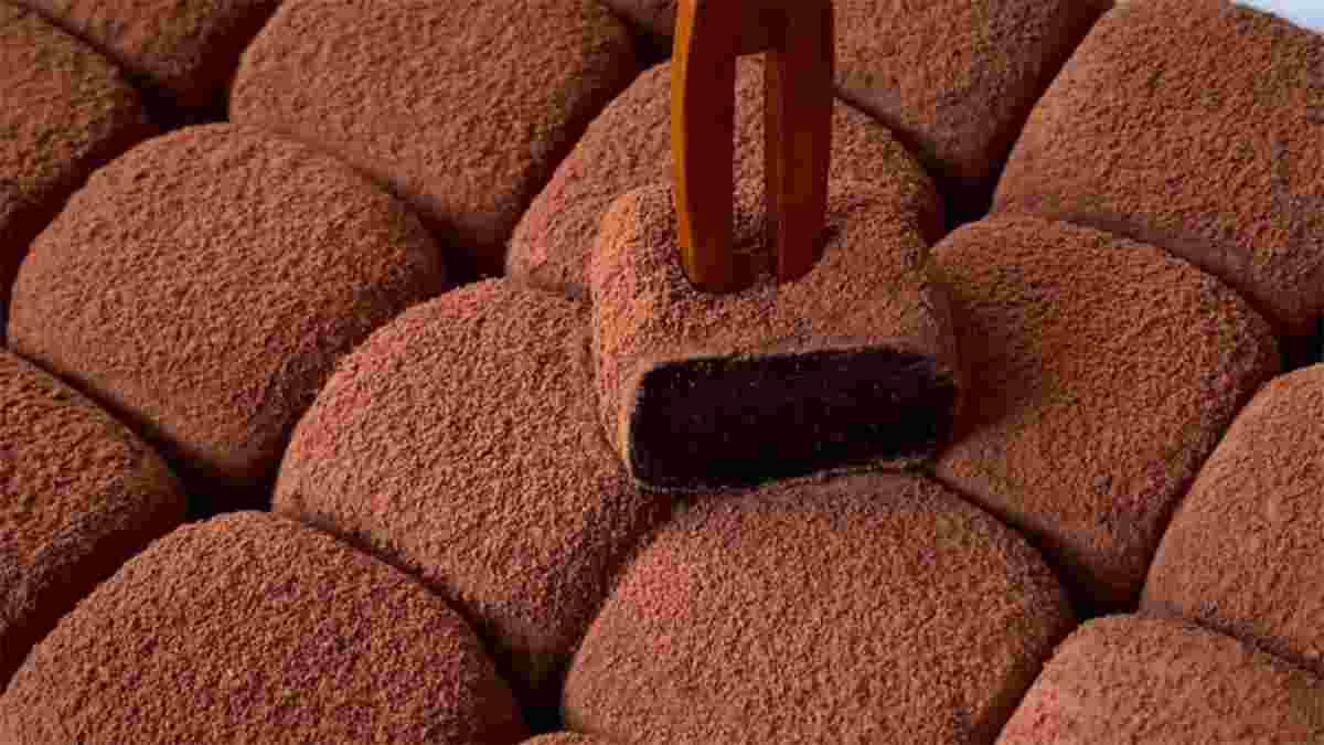 tartufes-legers-au-cacao-le-dessert-fondant-en-bouche-est-incroyable-sans-farine-ni-oeufs