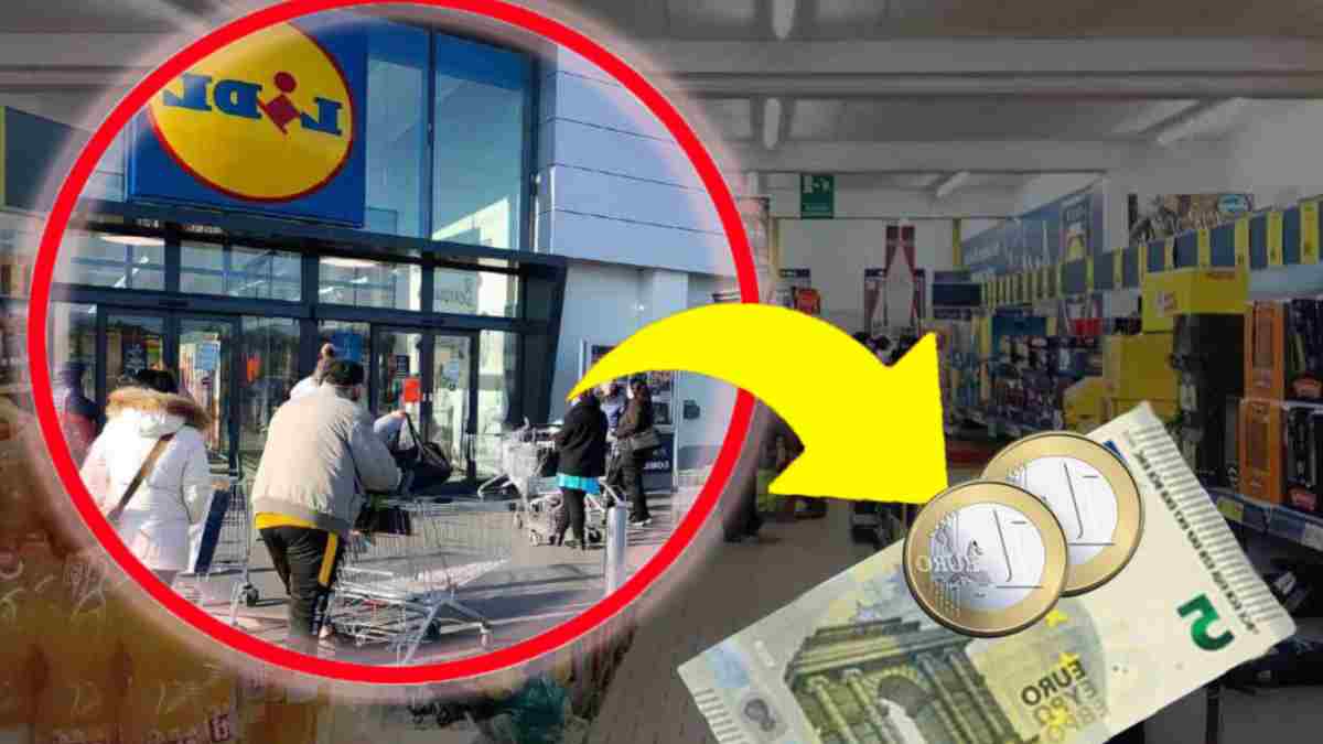 tu-les-trouves-uniquement-chez-lidl-a-ce-prix-special-de-699-euros-ils-sont-vraiment-pratiques-je-les-utilise-presque-tous-les-jours-a-la-maison