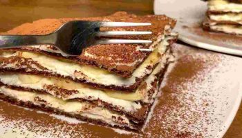 gateau-super-proteine-et-leger-il-ressemble-a-un-tiramisu-mais-ce-nen-est-pas-un-seulement-190-kcal